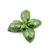Ground Mace Premium Quality Brookside Spice Grocery Food-3