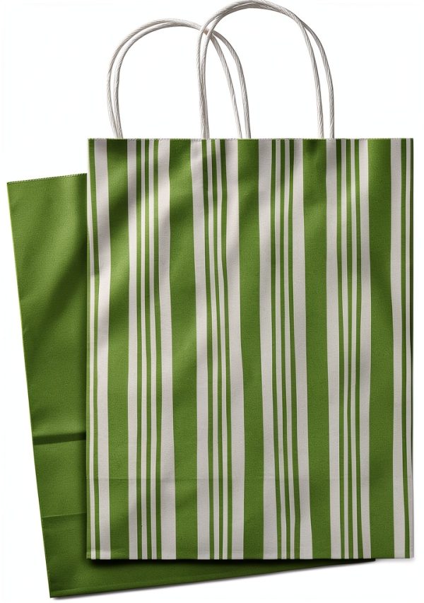 Hallmark Gift Wrap Bag 10x13 inches Large Size-6