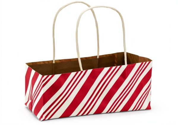 Hallmark Gift Wrap Bag 10x13 inches Large Size-9