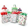Christmas Gift Bags EcoWrap Eco Paper Gift Bag-4