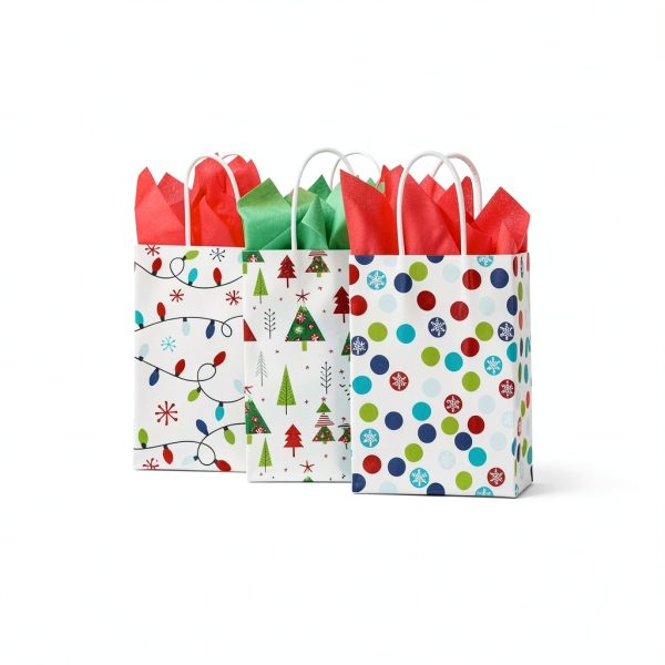 Christmas Gift Bags EcoWrap Eco Paper Gift Bag-3